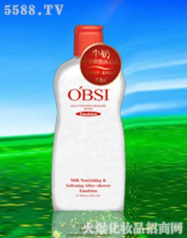 VжŻyƷ޹˾Wţ̠IBw