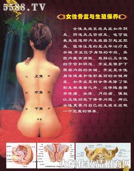 VݼƼ޹˾豣B׽B