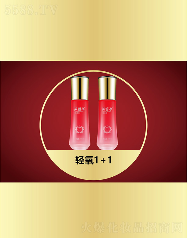 VfZHƼ޹˾ܽp1+1