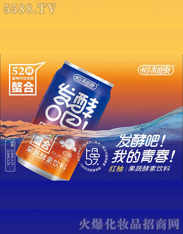 Ƽɷ޹˾lͰϵ-tֹ߽