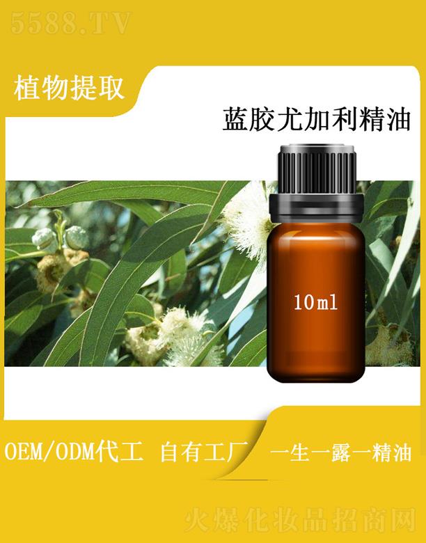 ԴI޹˾h{zȼ 10ml