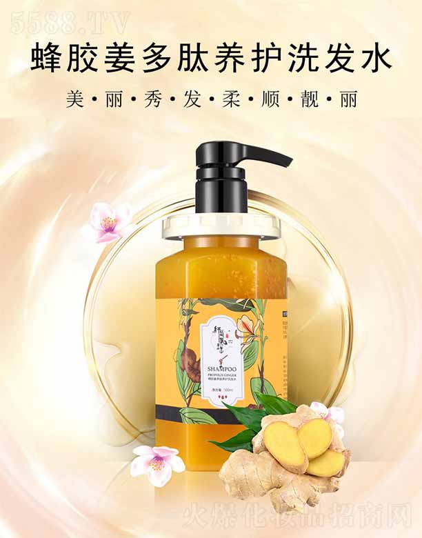 VJƼ޹˾wzlzBoϴlˮ 500ml