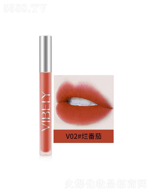 VЃɫyƷ޹˾VIBELYzq՚ⴽV02#