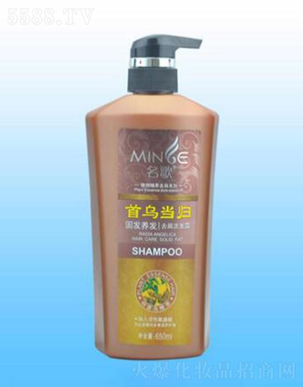ɽŝyƷ޹˾̰lBlϴl¶(מ+w) 650ml