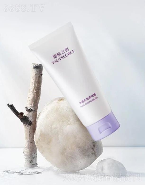 ���棨�Ϻ�������Ƽ����޹�˾���\�w֮考�͸ȥ���|���