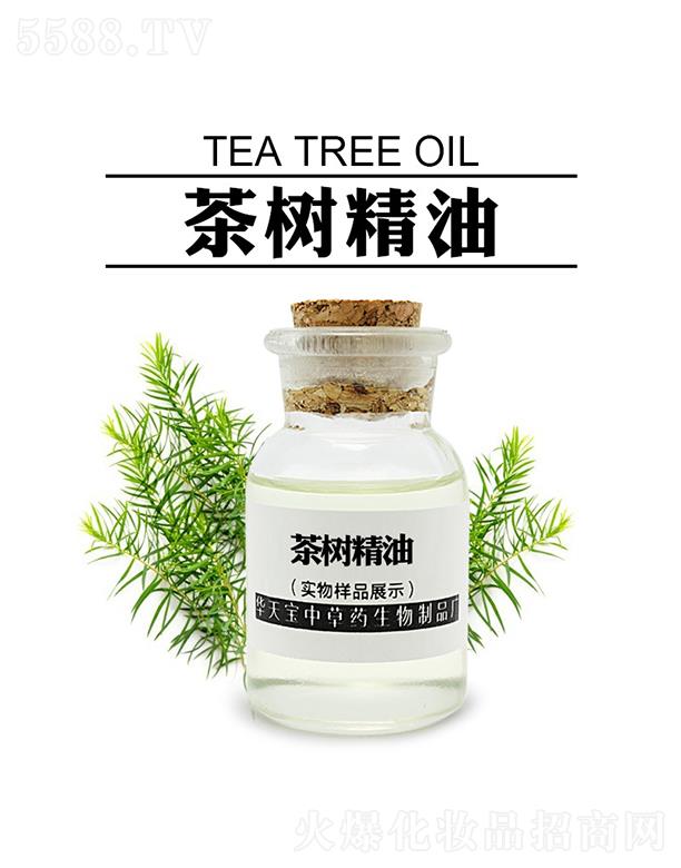 A쌚侫