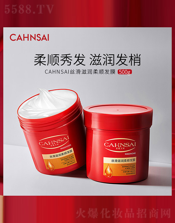 CAHNSAIz̝혰lĤ 500g