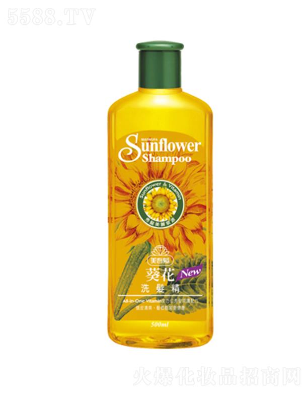 lϴl 500ml/԰l|