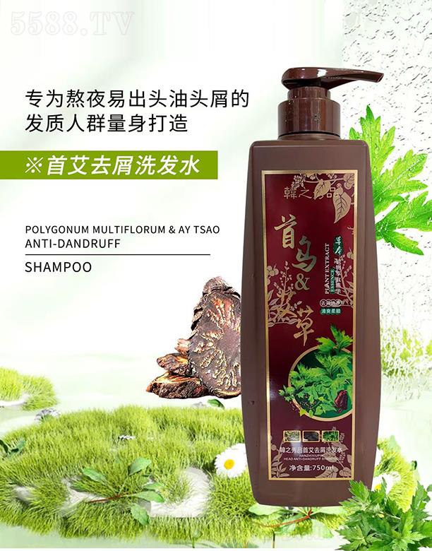 n֮Ʒװȥмϴlˮ 750ml
