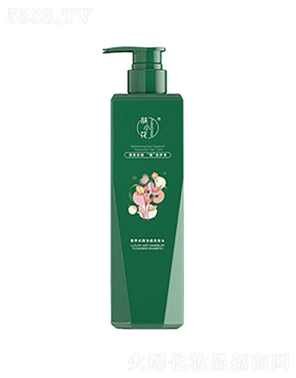 wСBм͸ϴlˮ 500ml