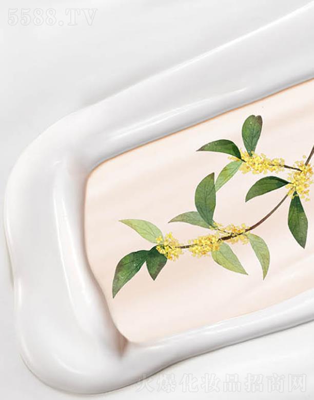 ����˹���Ϻ������yƷ���޹�˾��ANCORS��͸�����˪