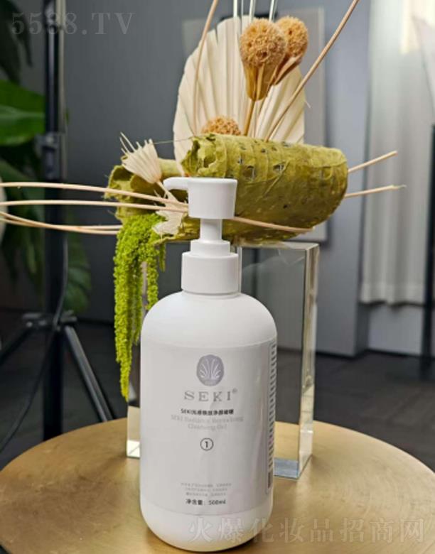 �������H����Ƽ����޹�˾��SEKI�z�����П��w����