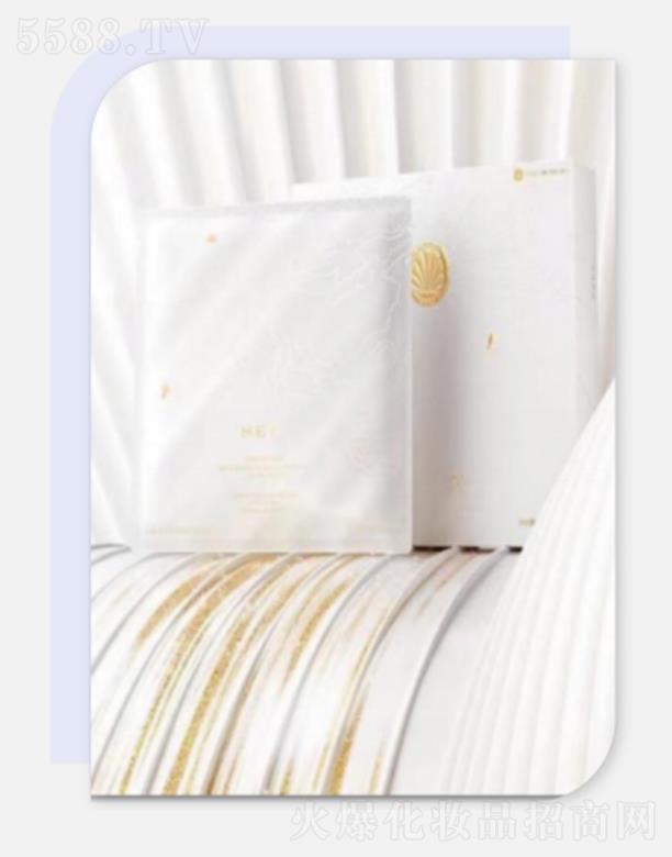 SEKI�z�������������w��Ĥ