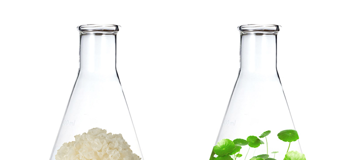 瑩智夢瓷肌晶透養(yǎng)護(hù)套 瑩智夢瓷肌晶透養(yǎng)護(hù)套